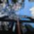 67ª imagem do imóvel