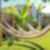 4ª imagem do imóvel