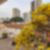 31ª imagem do imóvel