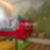 29ª imagem do imóvel