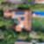 74ª imagem do imóvel