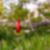 37ª imagem do imóvel