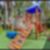 50ª imagem do imóvel