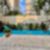 36ª imagem do imóvel