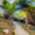 79ª imagem do imóvel