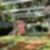 48ª imagem do imóvel