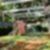 45ª imagem do imóvel