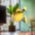 6ª imagem do imóvel
