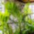 26ª imagem do imóvel