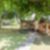 55ª imagem do imóvel