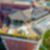 10ª imagem do imóvel