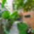 23ª imagem do imóvel