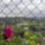 62ª imagem do imóvel