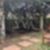 50ª imagem do imóvel