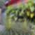 41ª imagem do imóvel