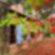 13ª imagem do imóvel