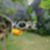 29ª imagem do imóvel