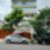 77ª imagem do imóvel