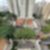 44ª imagem do imóvel