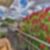 31ª imagem do imóvel