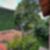 21ª imagem do imóvel