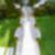 1ª imagem do imóvel