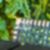 12ª imagem do imóvel