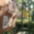 2ª imagem do imóvel