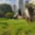 1ª imagem do imóvel