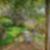21ª imagem do imóvel