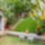 29ª imagem do imóvel