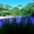26ª imagem do imóvel