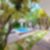 20ª imagem do imóvel