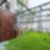42ª imagem do imóvel