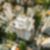 21ª imagem do imóvel