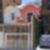 19ª imagem do imóvel