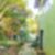 21ª imagem do imóvel