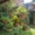 1ª imagem do imóvel