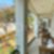 16ª imagem do imóvel