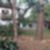 1ª imagem do imóvel