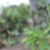 27ª imagem do imóvel