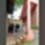 16ª imagem do imóvel