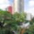 10ª imagem do imóvel