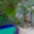 29ª imagem do imóvel