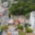 19ª imagem do imóvel