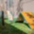 23ª imagem do imóvel