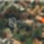 1ª imagem do imóvel