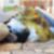 1ª imagem do imóvel