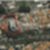 3ª imagem do imóvel