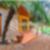 6ª imagem do imóvel
